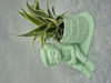 Afbeeldingen van 3d bloempotjes Juf of meester