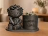 Afbeeldingen van 3d bloempotjes Juf of meester met naam