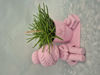 Afbeeldingen van 3d bloempotjes Juf of meester met naam