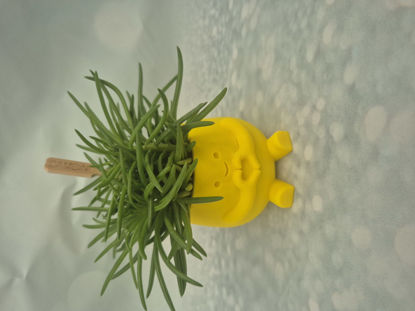 Afbeeldingen van Bloempot hartje