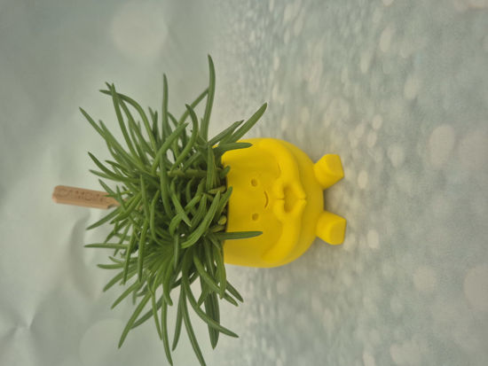 Afbeeldingen van Bloempot hartje
