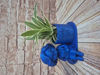 Afbeeldingen van 3d bloempotjes Juf of meester