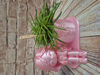 Afbeeldingen van 3d bloempotjes Juf of meester